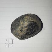 شهاب سنگ اصلی