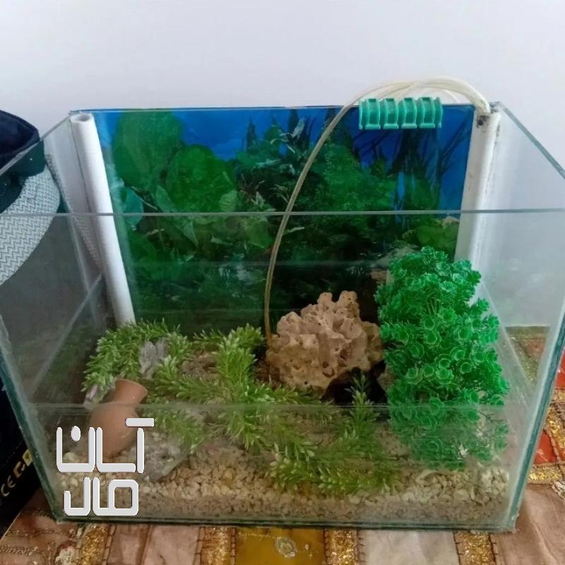 آکواریوم باتمامی وسایل