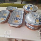 مرغ خوری وسوپخوری گل پنیه