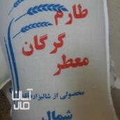 برنج طارم گرگان