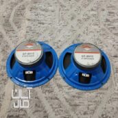 ۲عدد میدرنج ۱۸ اینچ