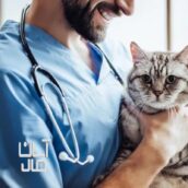 مسئول فنی بهداشتی