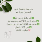 ادمین دایرکتر