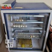 دستگاه جوجه کشی ۴۲۰تایی بلدرچین دماوند