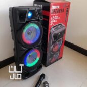 اسپیکر اورجینال