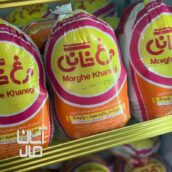 مرغ خانگی ارومیه