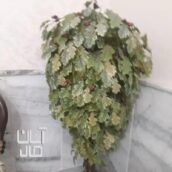 درختچه مصنوعی بلوط