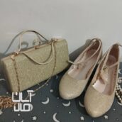 کیف وکفش مجلسی