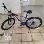 دوچرخه اورلورد