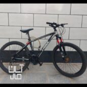 دوچرخه ترینکس