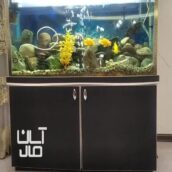 آکواریوم همراه میز