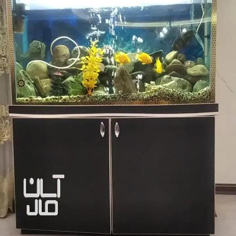 آکواریوم همراه میز