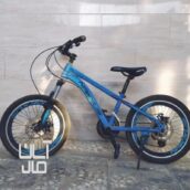 دوچرخه نوجوان