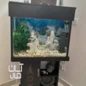 آکواریوم فول لوازم زیبا