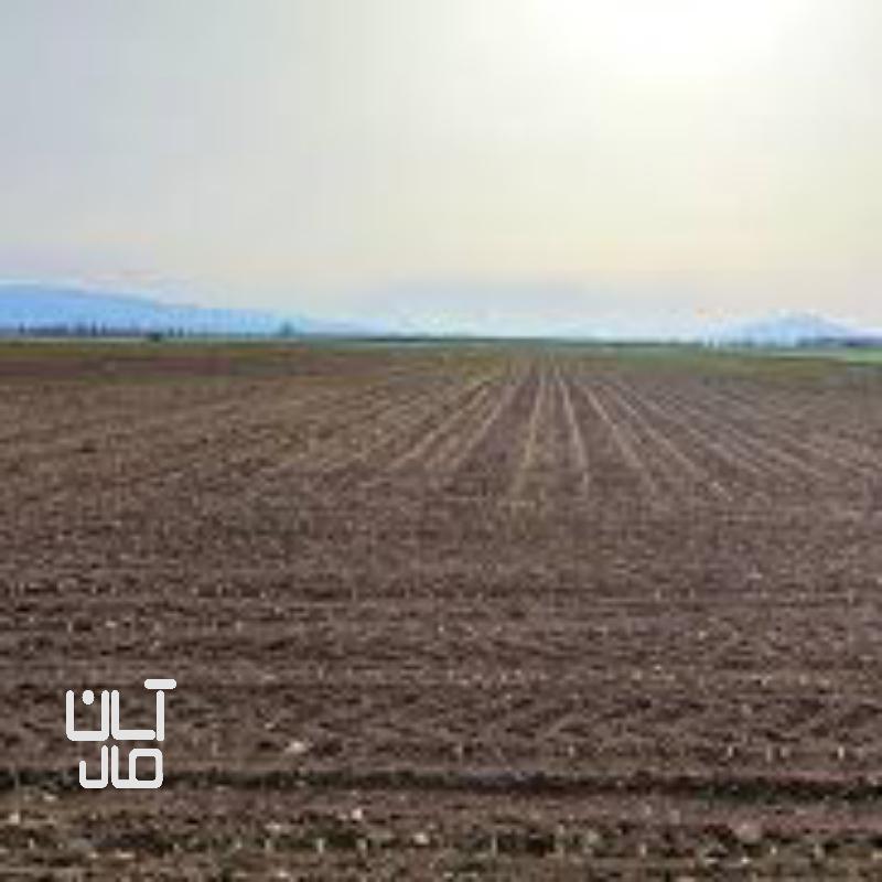 زمین کشاورزی فوری
