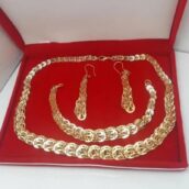 سرویس پولکی