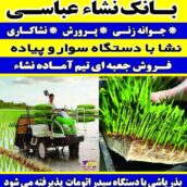 بانک نشا دستگاه نشا سینی نشا ادوات کشاورزی تراکتور کمباین تیلر بذر طارم هاشمی