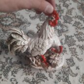 مجسمه نو تمیز