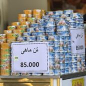 تن ماهی ۸۵ تومن