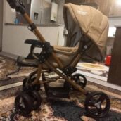 کالسکه دلیجان