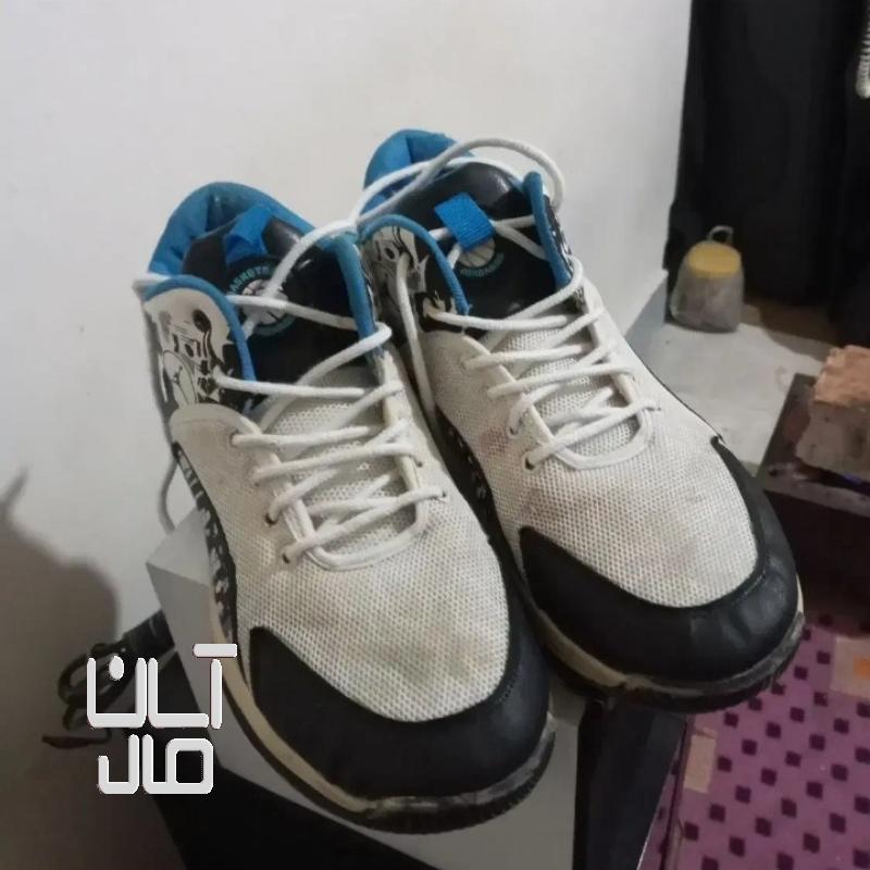 کتانی اسپرت