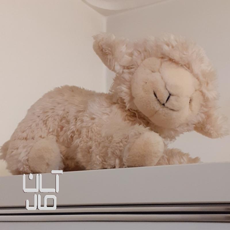 عروسک پولیشی