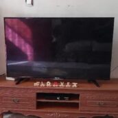 تلويزيون ۴۹ اینچ هایسنس