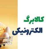 کالا برگ مرغ فروشی