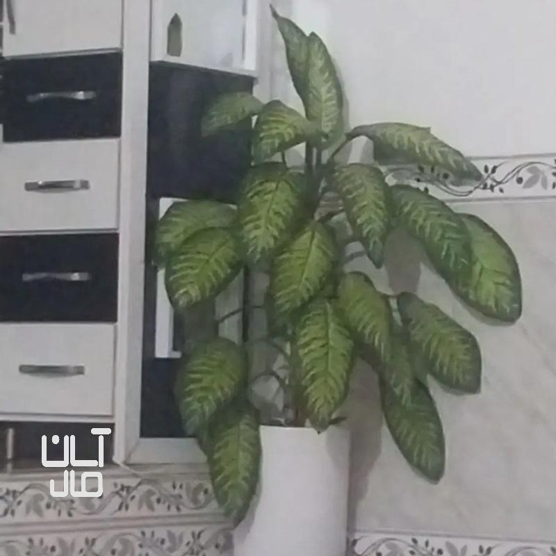 گل دیفن باخیا