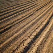 زمین موقعیت عالی