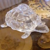 لاک‌پشت کریستالی