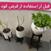 قرص کود آپارتمانی بدون بو