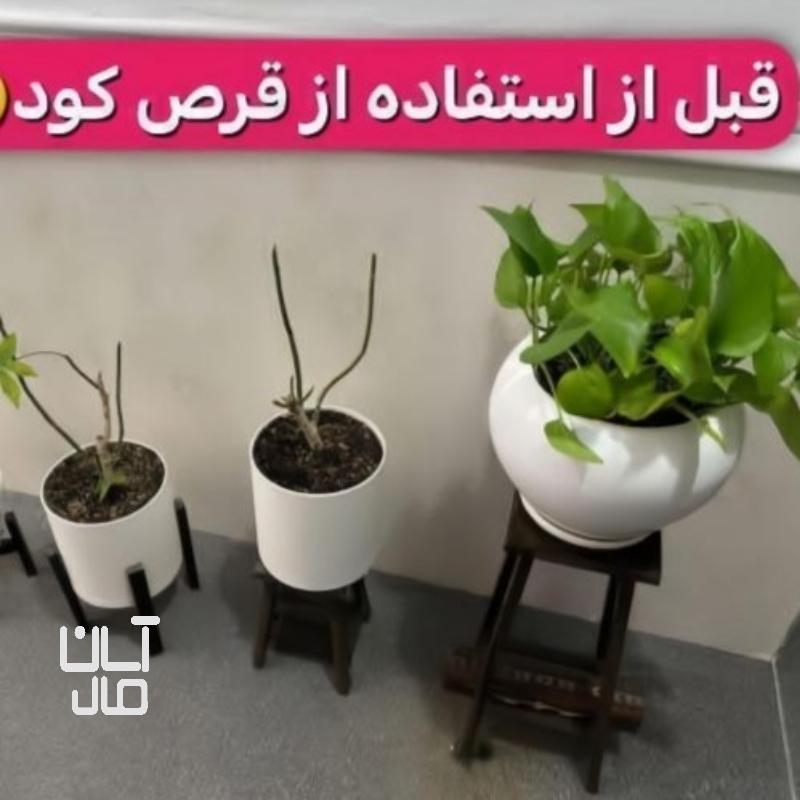 قرص کود آپارتمانی بدون بو