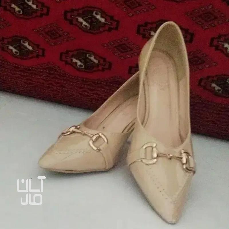 کفش مجلسی