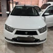 دنا معمولی تیپ ۲