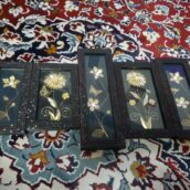 تابلو نو تمیز