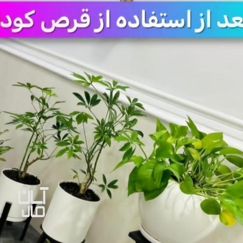 قرص کود آپارتمانی بدون بو